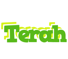 Terah picnic logo