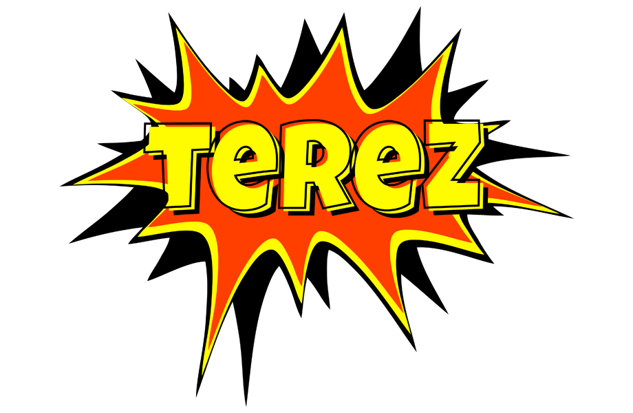 Terez bazinga logo