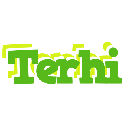 Terhi picnic logo