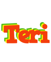 Teri bbq logo