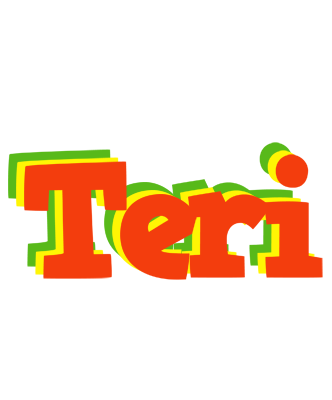 Teri bbq logo