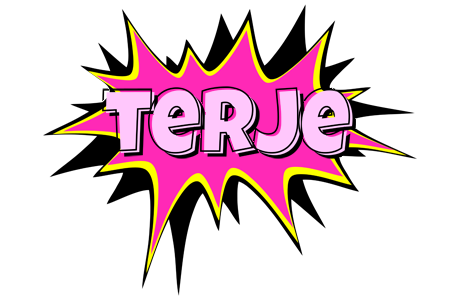 Terje badabing logo