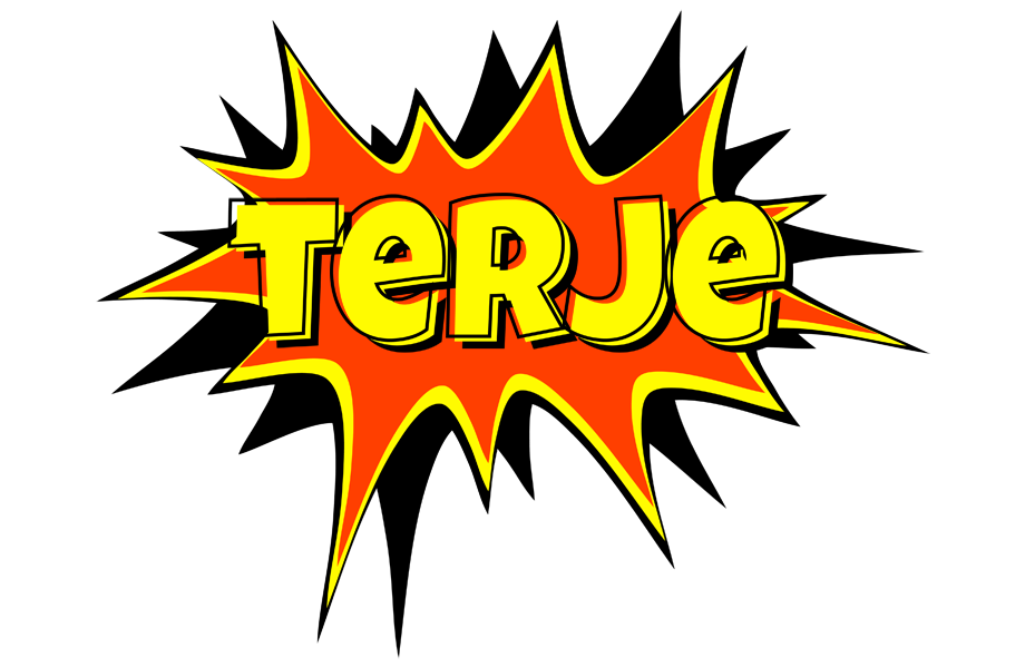 Terje bazinga logo