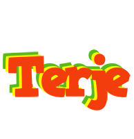 Terje bbq logo