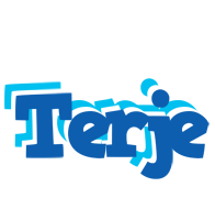 Terje business logo