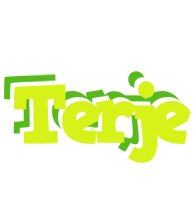 Terje citrus logo