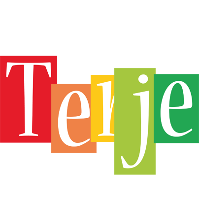 Terje colors logo