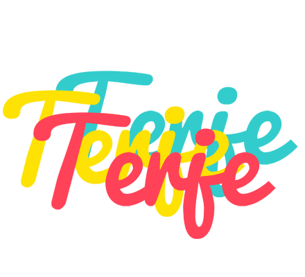 Terje disco logo