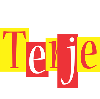 Terje errors logo