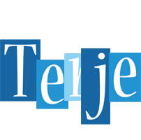 Terje winter logo