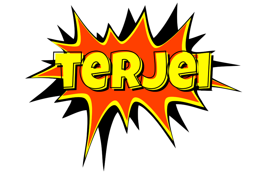 Terjei bazinga logo