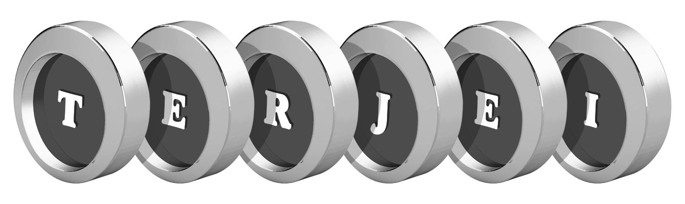 Terjei coins logo