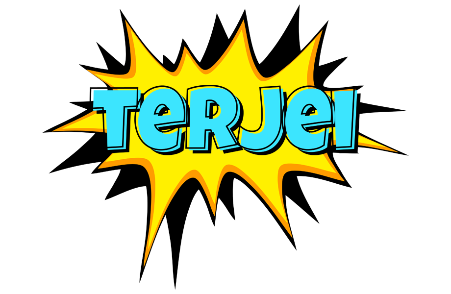 Terjei indycar logo