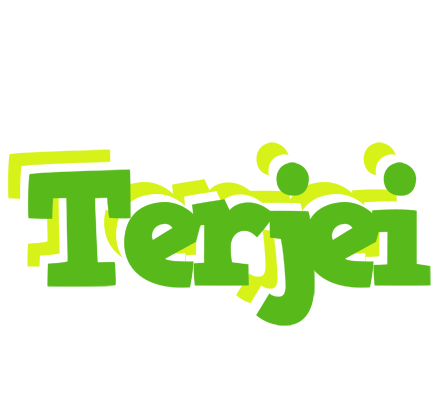 Terjei picnic logo