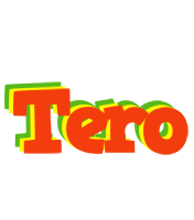 Tero bbq logo