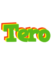 Tero crocodile logo