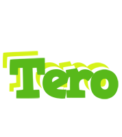 Tero picnic logo