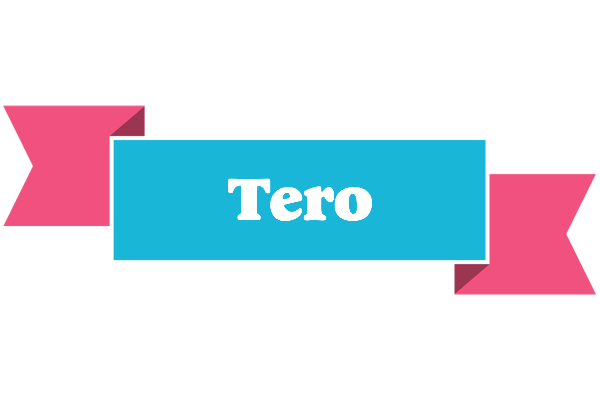 Tero today logo