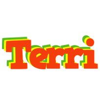 Terri bbq logo