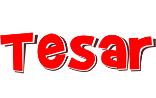 Tesar basket logo