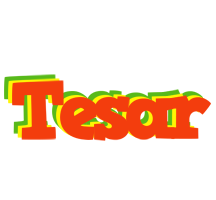 Tesar bbq logo