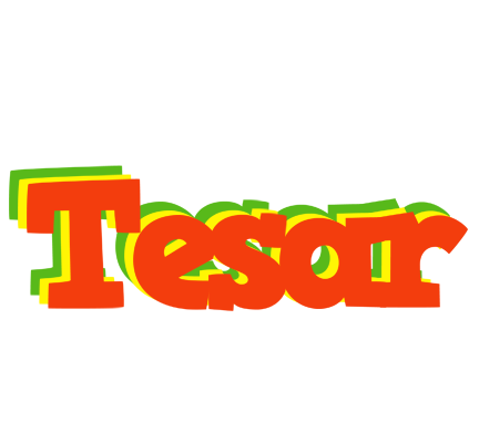 Tesar bbq logo