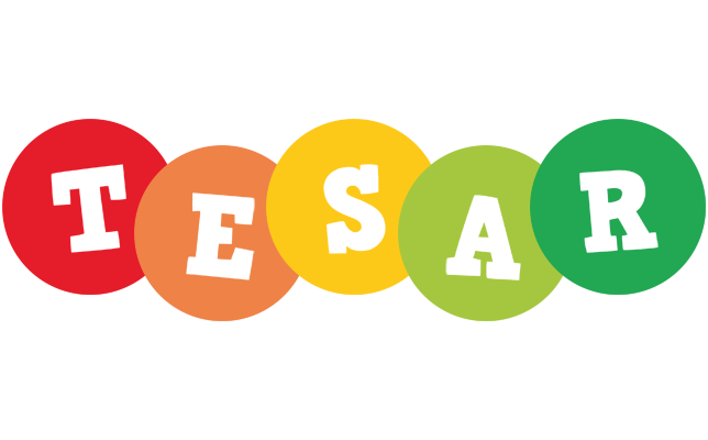 Tesar boogie logo