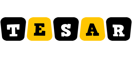 Tesar boots logo