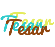 Tesar cupcake logo