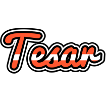 Tesar denmark logo