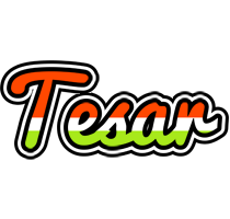 Tesar exotic logo