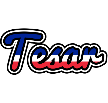 Tesar france logo