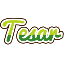 Tesar golfing logo