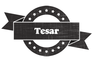 Tesar grunge logo