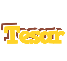 Tesar hotcup logo