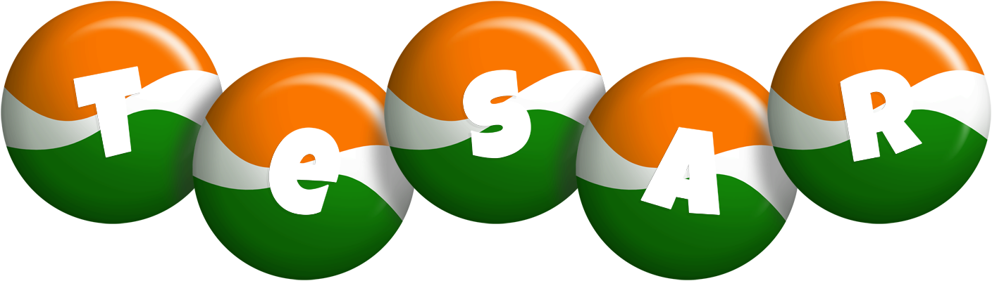 Tesar india logo
