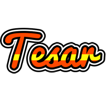 Tesar madrid logo