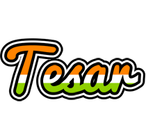 Tesar mumbai logo