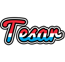 Tesar norway logo