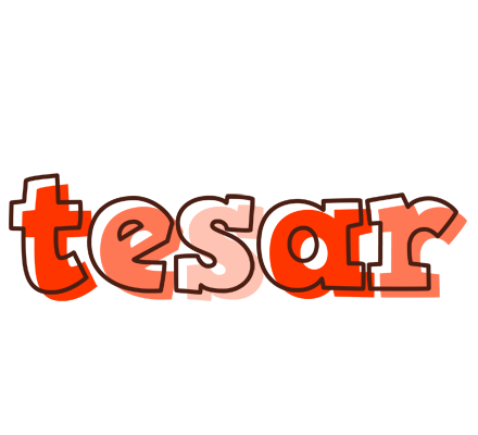 Tesar paint logo