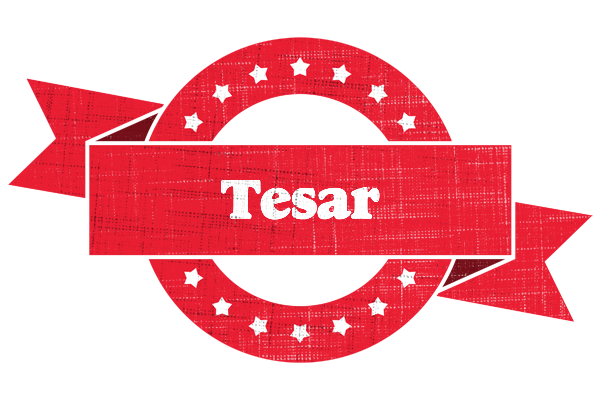 Tesar passion logo