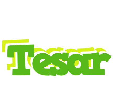 Tesar picnic logo