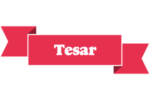 Tesar sale logo