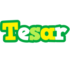 Tesar soccer logo