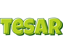 Tesar summer logo