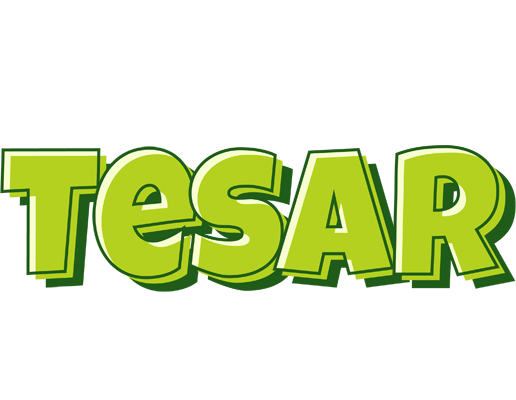 Tesar summer logo