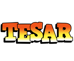 Tesar sunset logo