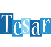 Tesar winter logo