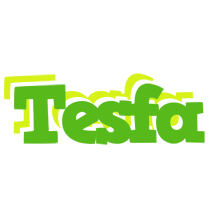 Tesfa picnic logo