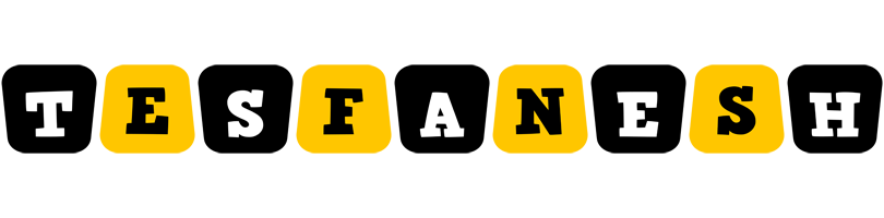 Tesfanesh boots logo